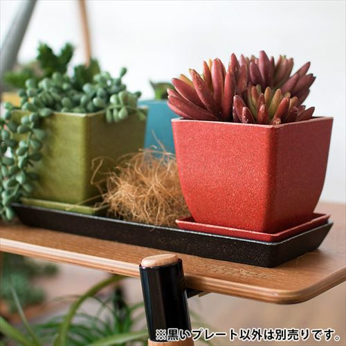 植木鉢用 受け皿 エコプレート 鉢皿 長方形 底面 約24.5cm×7.5cm