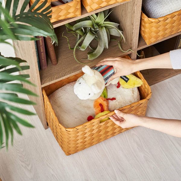 SPOONFULで購入した白樺カゴBIRCH BOX 000000001052-02.jpg?size=l&w= 小物入れ