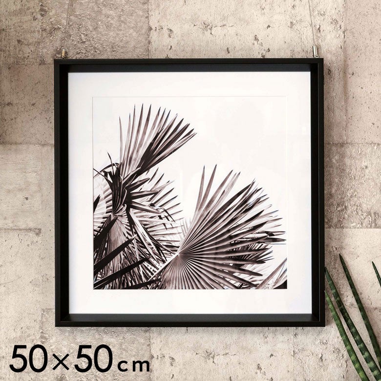 アートパネル モノクロ リーフ ボタニカル 50×50cm 壁掛け インテリア