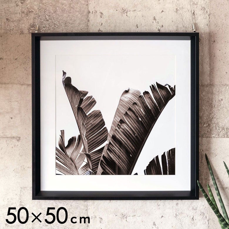 アートパネル モノクロ リーフ ボタニカル 50×50cm 壁掛け インテリア