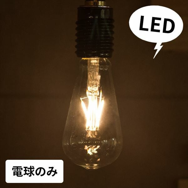 LED電球 レトロランプ エジソン型 E26口金(98400)【生活雑貨のELEMENTS