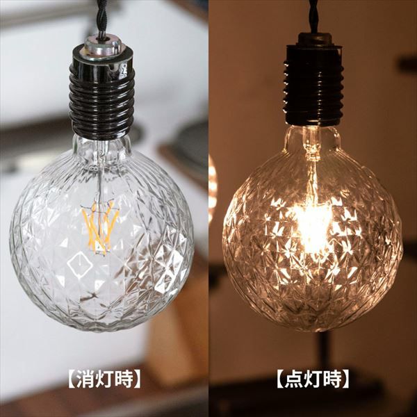 【電球付き！】おしゃれな照明 EdisonBulb 2個セット ノスタルジアBIG LED電球 大型照明器具 エジソン