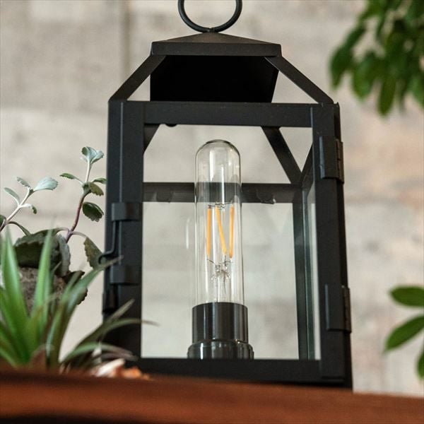 LED電球 レトロランプ エジソン型 試験管形 直径3cm 長さ13cm E26口金