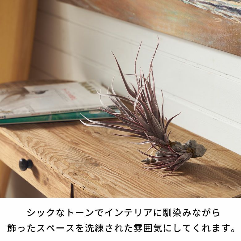 グレーとパープルの色彩が美しいチランジアのフェイクグリーン 高さ約