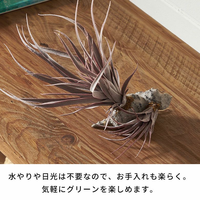 グレーとパープルの色彩が美しいチランジアのフェイクグリーン 高さ約