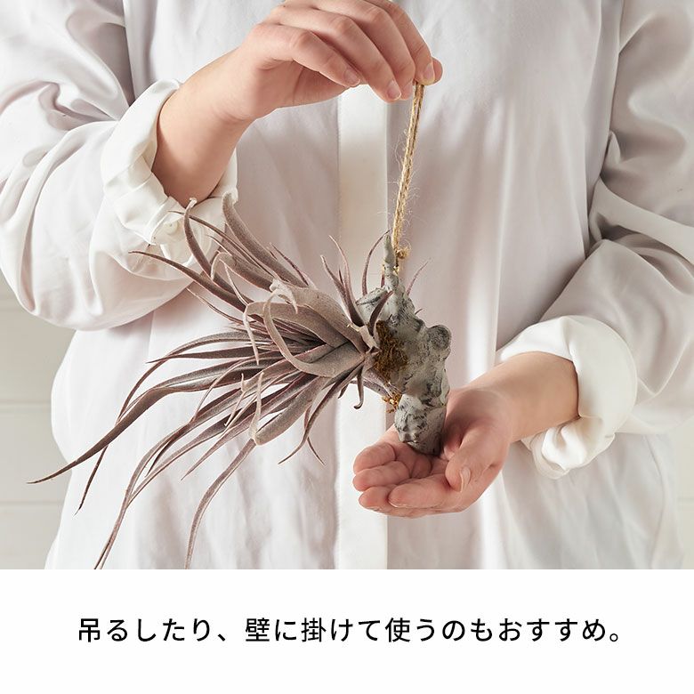 フェイクグリーン チランジア パープル 養生 着床 観葉植物 フェイク
