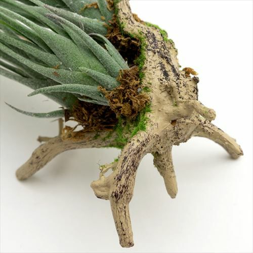 フェイクグリーン 造花 チランジア 観葉植物 エアプランツ [98903