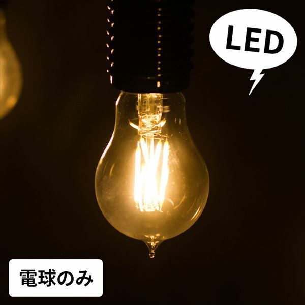 ペンダントライト（LED電球装着済み） LED電球 レトロランプ エジソン型 E26口金 しずく 雫型 梨型 クリア