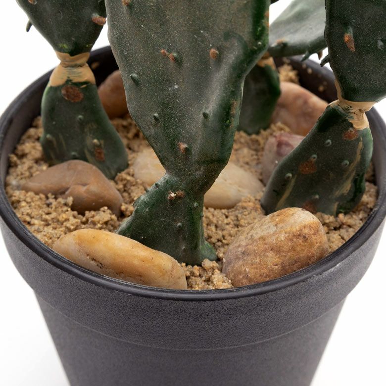 フェイクグリーン 造花 サボテン 観葉植物 鉢植え [98907