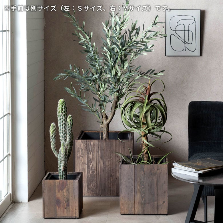 観葉植物を引き立てる木製プランターカバー Botanique スクエアL 10号