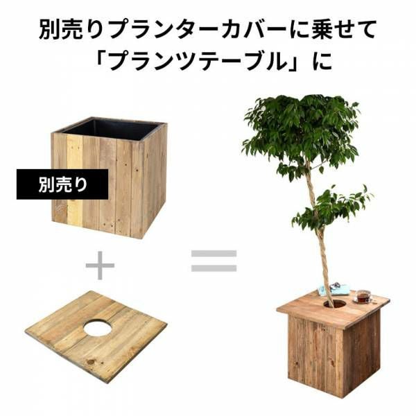 プランターカバーL+天板L=プランツテーブル