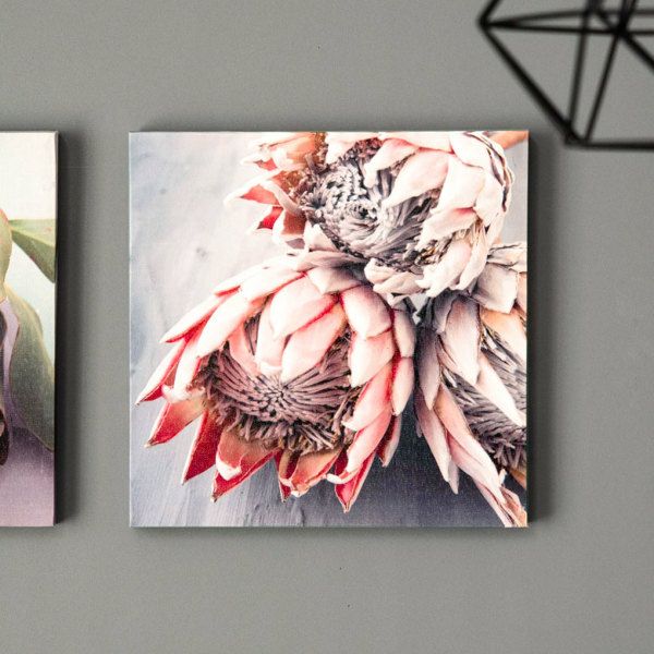 存在感のあるプロテアが主役のキャンバスアートパネル A 約30×30cm