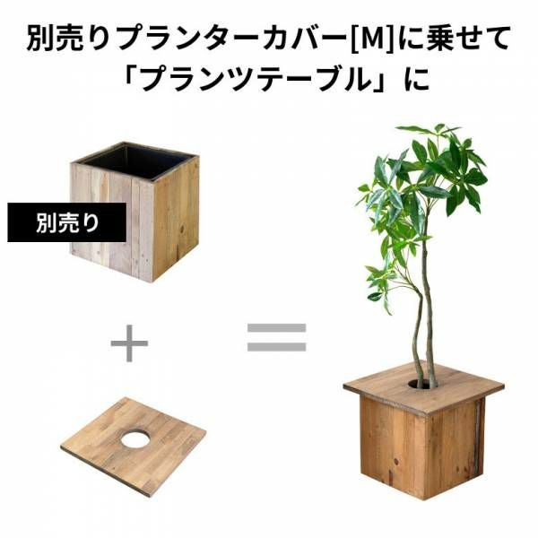 プランターカバーM+天板M=プランツテーブル