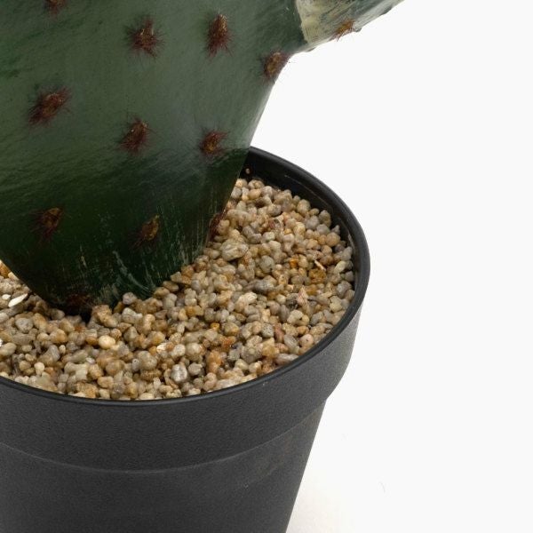 フェイクグリーン 造花 サボテン 鉢植え 6号鉢 高さ72cm グリーン