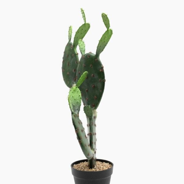 フェイクグリーン 造花 サボテン 鉢植え 6号鉢 高さ72cm グリーン