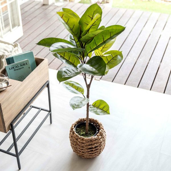 フェイクグリーン ゴムの木 高さ 95cm 鉢付き 観葉植物 グリーン