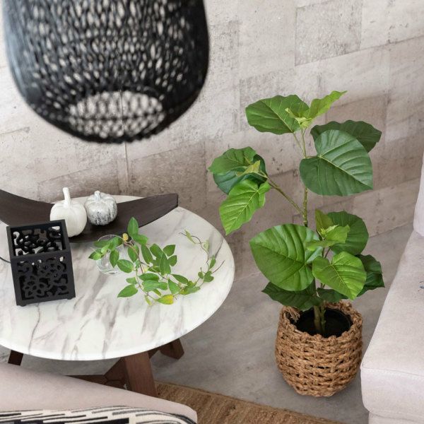 フェイクグリーン フィカス ウンベラータ 高さ 70cm 鉢付き 観葉植物