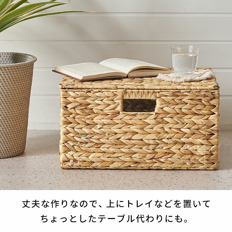 かご バスケット 蓋付き Lサイズ 収納ボックス フタ付き 約 W 43 cm D