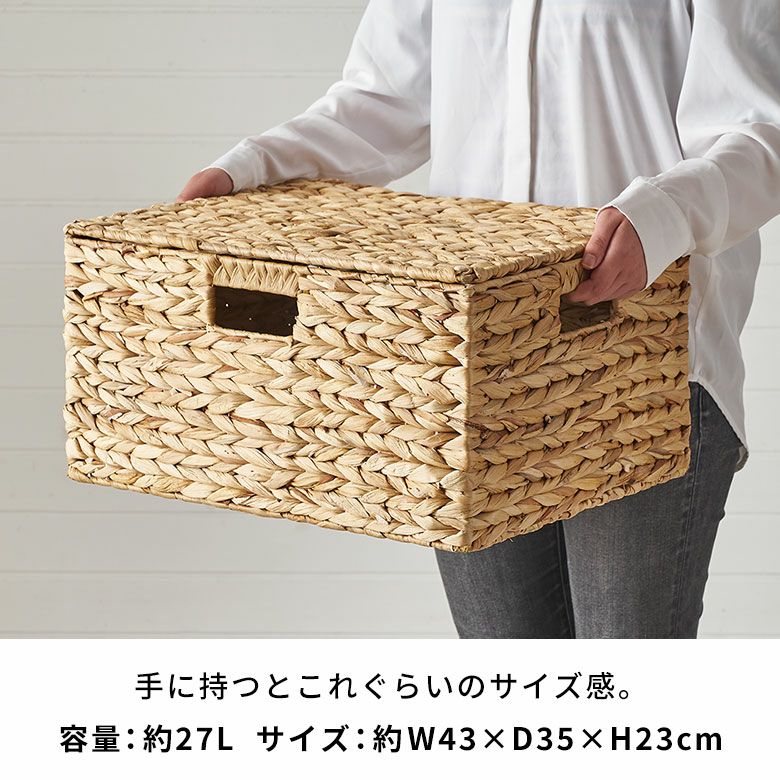 かご バスケット 蓋付き Lサイズ 収納ボックス フタ付き 約 W 43 cm D