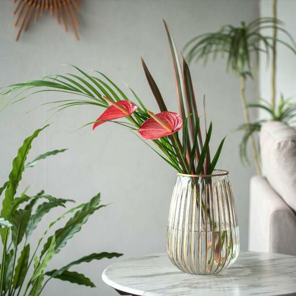 フラワーベース クリア ガラス 花瓶 Mサイズ 約 W 19cm D 19cm H 27cm