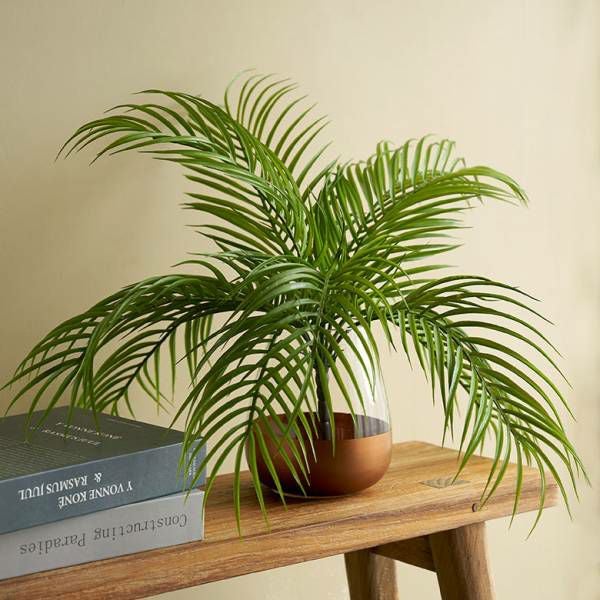 パームリーフオブジェ　PALM LEAF OBJET L wtw 000000003429-01.jpg?size=l&w=