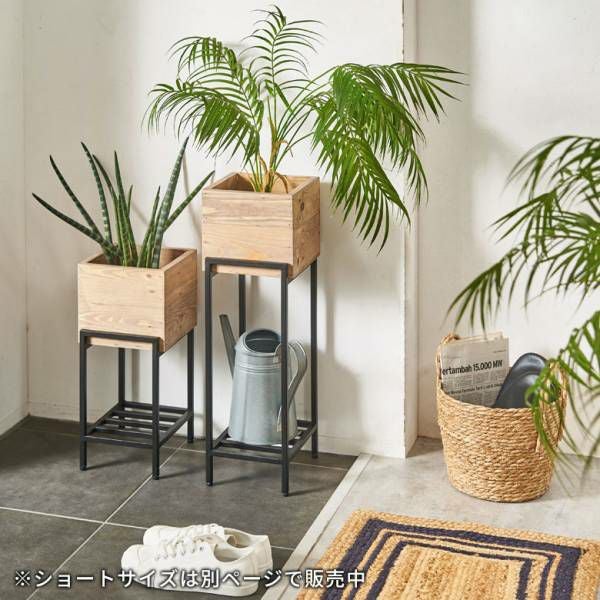 プランタースタンド　アイアン　木製 プランタースタンド 脚付き アイアン 木製 パイン材 トール 正方形 5号