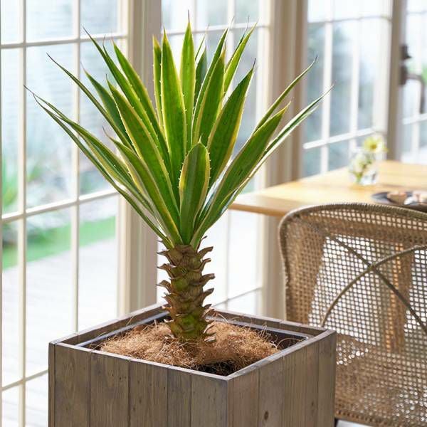 フェイクグリーン ユッカ グロリオサ 高さ 70cm 観葉植物 グリーン