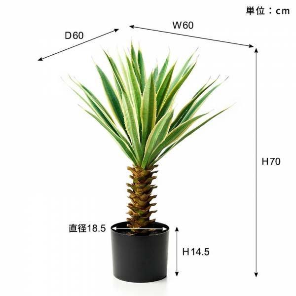 斑入りの厚みある葉が印象的なユッカのフェイクグリーン 高さ約70cm