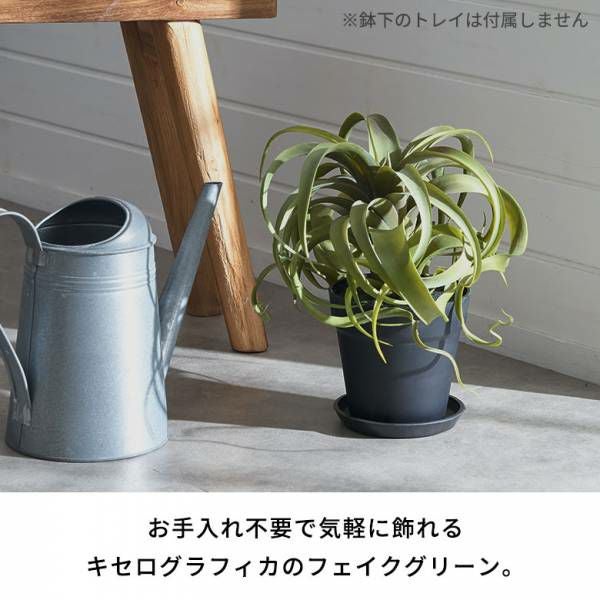 フェイクグリーン チランジア キセログラフィカ 高さ 30cm 観葉植物