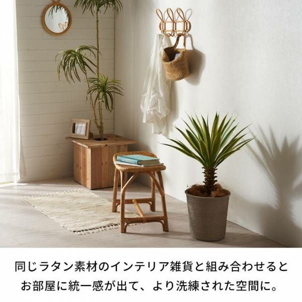000000003975-09.jpg?size=l&w=