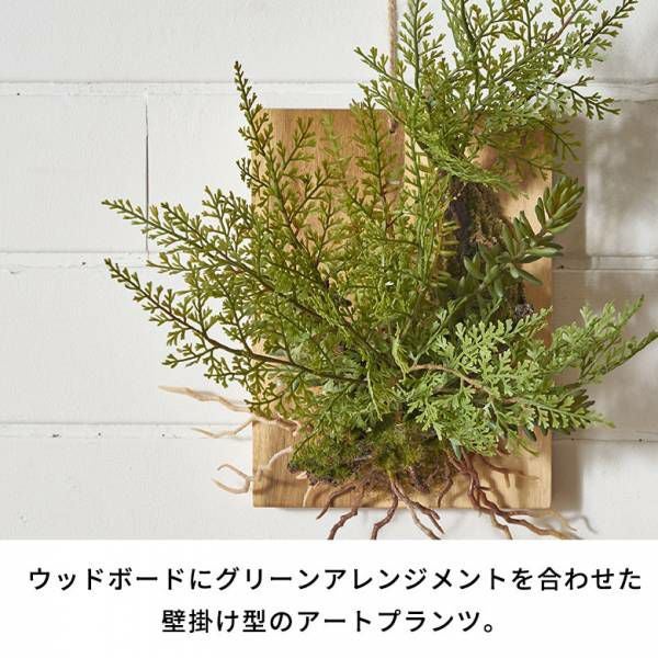 フェイクグリーン ウォールハンギング ファーン シダ アカシア 木製