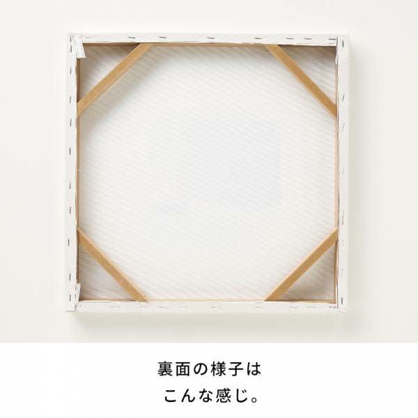 アートパネル スタイリッシュ デザイン キャンパス パネル 約 W 40cm D