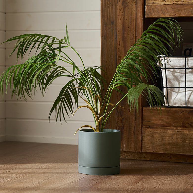 植木鉢 陶器 マット 5号鉢 受皿 底穴あり 中型 Mサイズ 約 W 15cm D