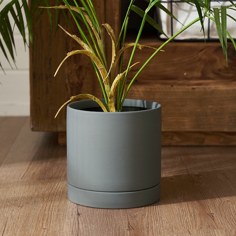 植木鉢 陶器 マット 5号鉢 受皿 底穴あり 中型 Mサイズ 約 W 15cm D