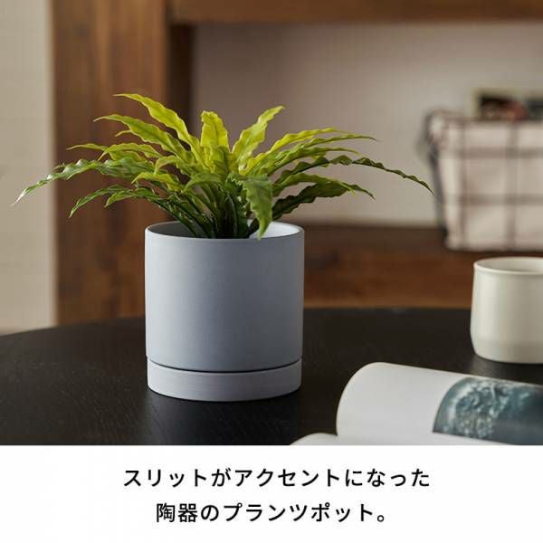 植木鉢 陶器 マット 4号鉢 受皿 底穴あり 小型 Sサイズ 約 W 11.5cm D