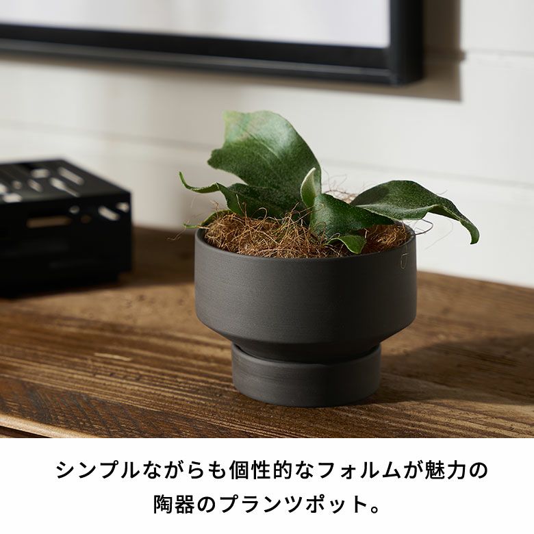 植木鉢 陶器 マット 4号鉢 受皿 底穴あり 小型 ロータイプ 約 W 11.5cm