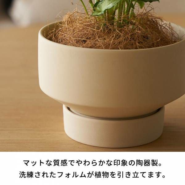 000000004010-03.jpg?size=l&w=