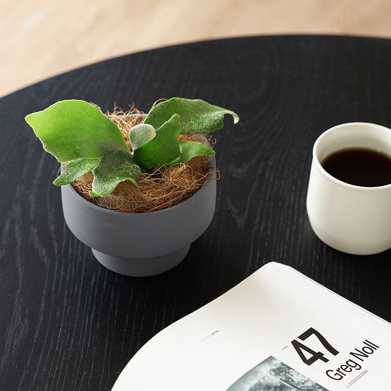 植木鉢 陶器 マット 4号鉢 受皿 底穴あり 小型 ロータイプ 約 W 11.5cm