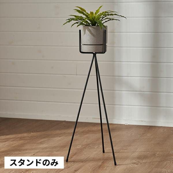 000000004012-01.jpg?size=l&w=