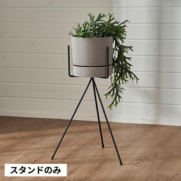000000004013-01.jpg?size=l&w=