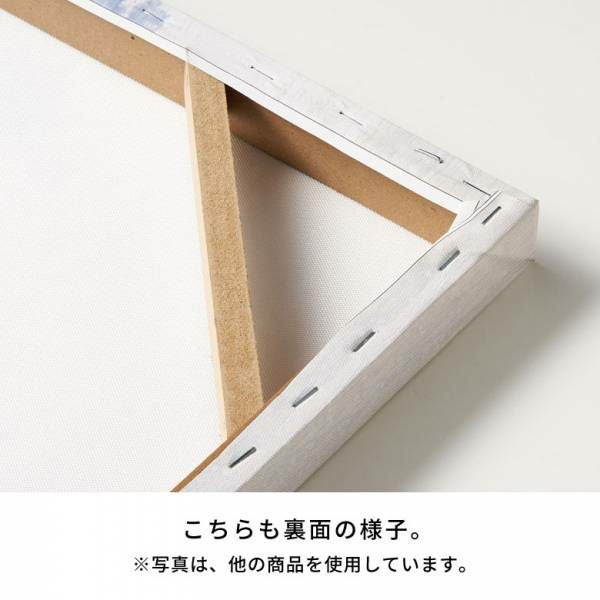 アートパネル アブストラクト キャンパス パネル 約 W 45cm D 60cm H