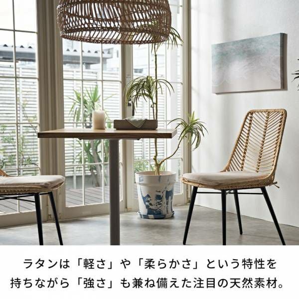 ラタンチェア チェア チェアー 1脚 単品 ラタン 籐 取り外しクッション