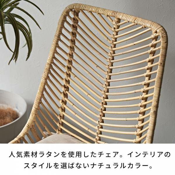 ラタンチェア チェア チェアー 2脚セット ラタン 籐 取り外し