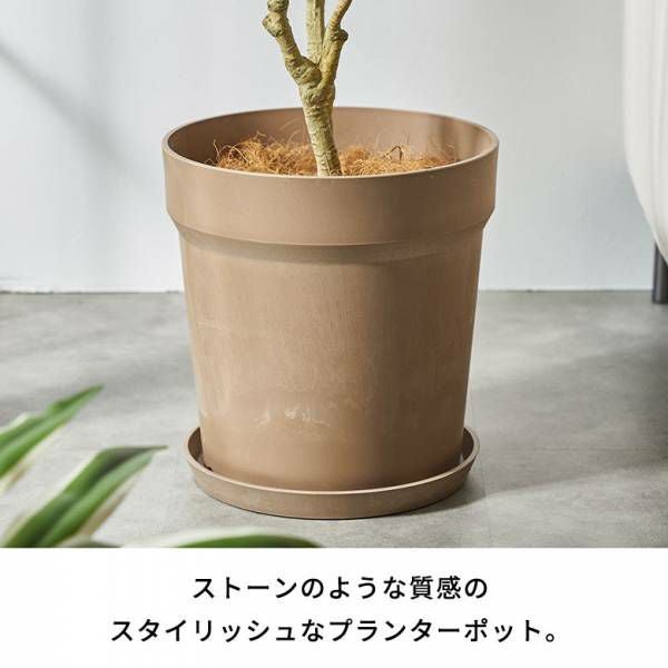 大きさによって価格異なります 植木鉢 鉢 生活雑貨 家庭用品 ガーデニング ガーデニング雑貨 陶器鉢 RHS マリナー 英国王立園芸協会 Mサイズ