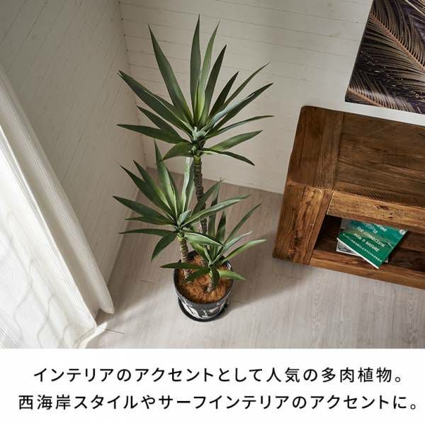 フェイクグリーン アガベ 高さ 155cm 観葉植物 グリーン フラワー 花