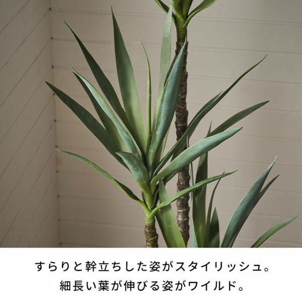 000000004160-04.jpg?size=l&w=