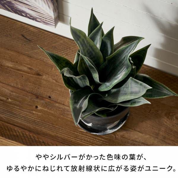 000000004163-03.jpg?size=l&w=