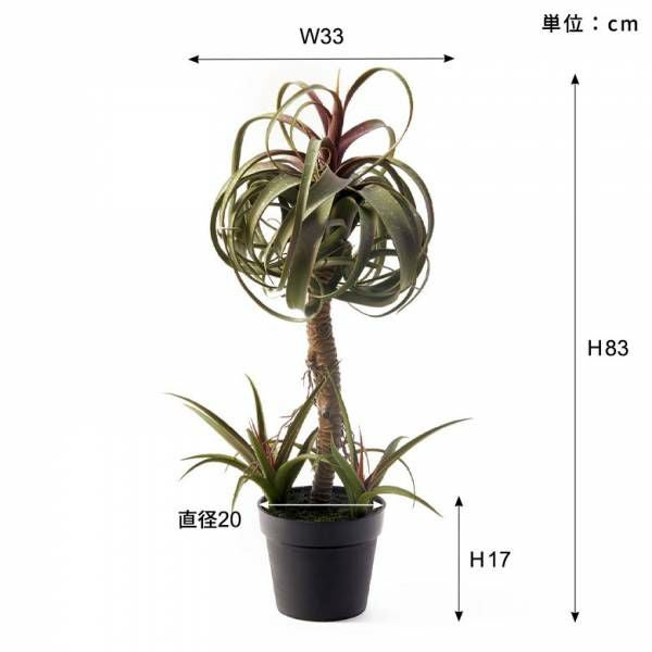 フェイクグリーン チランジア キセログラフィカ 高さ 83cm 観葉植物
