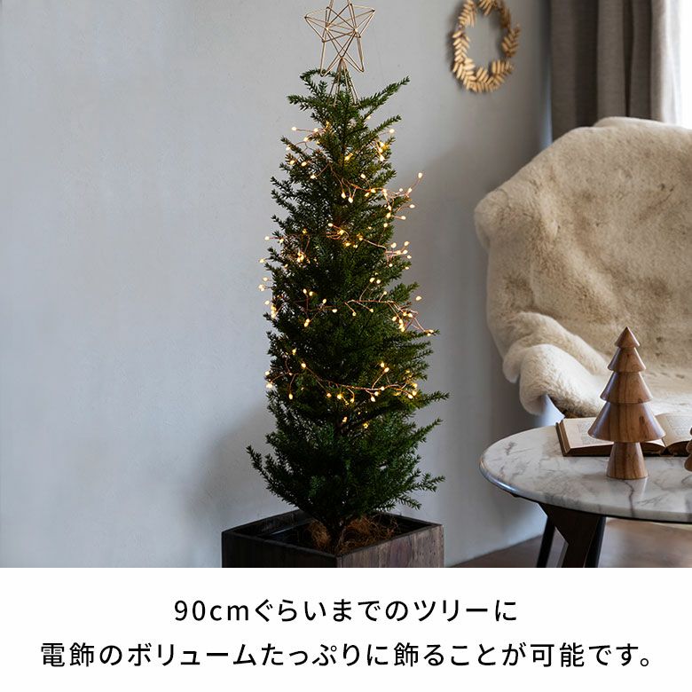 枝分かれが華やかなLEDワイヤーライト ブランチグロート 全長約250cm