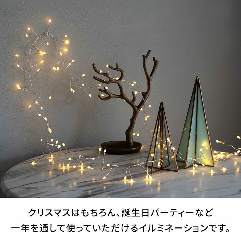 LEDライト クリスマス 電飾 LED ワイヤー 250cm 2.5m タイマー